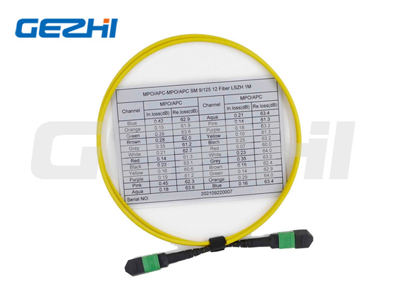 Beli 12 Fiber Multimode Patch Kabel Seri Perempuan OS2 9/125 Kabel MPO online manufacture