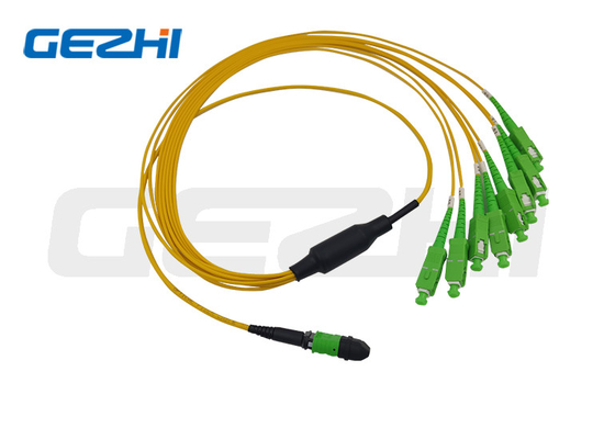 MTP/MPO Batang Cabe 12 inti/24 inti/48 inti/72 inti/96 inti/144 inti OS2 Kabel Patch Serat Optik