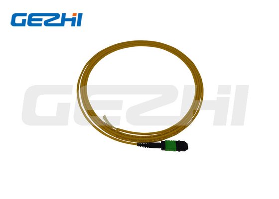 SM 9/125 Mpo Lc Serat Optik Pigtail Patchcord dengan dan Customized Length Oem
